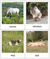 printable animal flash cards preview