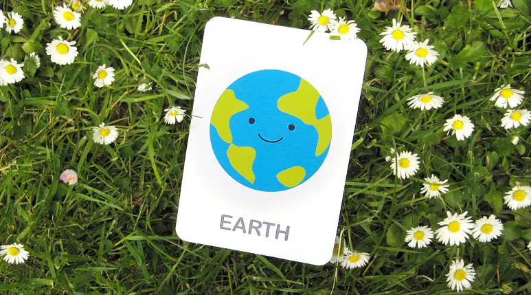 Learn with Flash Cards