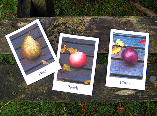Fruit & Vegetables Vocabulary Flash Cards — image 1