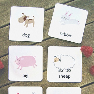 Basic Animal Flash Cards
