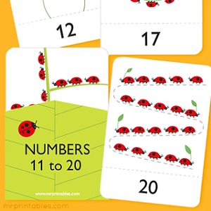 Number Flash Cards 11 to 20
