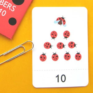 My Flash Cards - Number Sequencing 1-10 - My Family Book